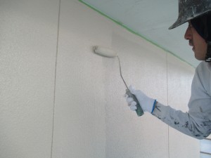 IMG_0348