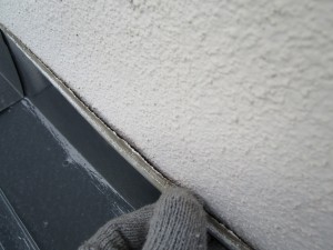 IMG_1057